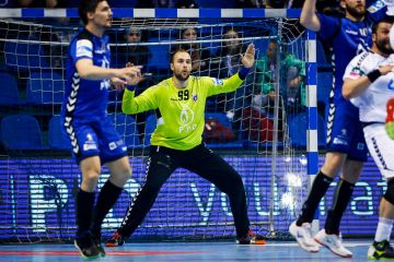 Zagrebački derbi otišao na stranu PPD Zagreba! Lavovi svladali Dubravu s +9!